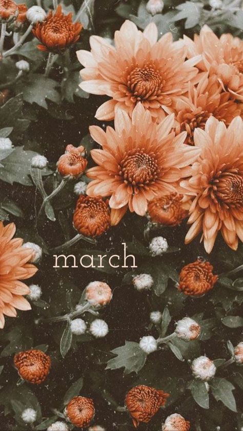 March Backgrounds, March Wallpaper, Hello March, Iphone Wallpaper Landscape, Iphone Wallpaper Fall, Flower Iphone Wallpaper, Calendar Wallpaper, Spring Wallpaper, Tapeta Pro Iphone