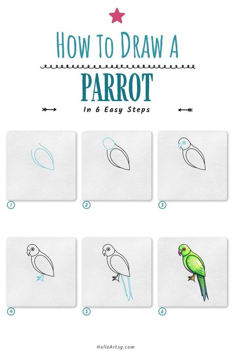 Step by step images demonstrating a how to draw a parrot - A Drawing Tutorial for Beginners! Parrot Simple Drawing, How To Draw A Parrot Easy, Parrot Drawing Easy Step By Step, Easy Parrot Drawing For Kids, How To Draw A Parrot Step By Step, How To Draw A Parrot, How To Draw A Bird Easy, Parrot Drawing Step By Step, Parrot Drawing Simple