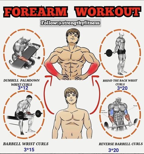 Bigger Forearms, Workout And Diet Plan, Home Workout Men, Workout Gym Routine, Gym Workout Guide, Workout Program Gym, Forearm Workout, Best Gym Workout, Bodybuilding Workout Plan