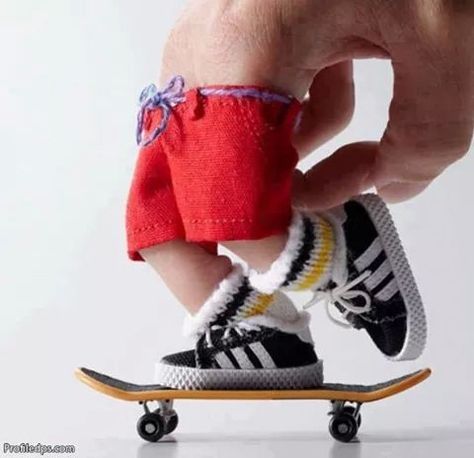 Finger Skateboard, Desenhos Gravity Falls, Tech Deck, Cat Plush Toy, Wooden Baby Toys, How To Make Toys, Novelty Toys, Skateboard Art, Skate Park