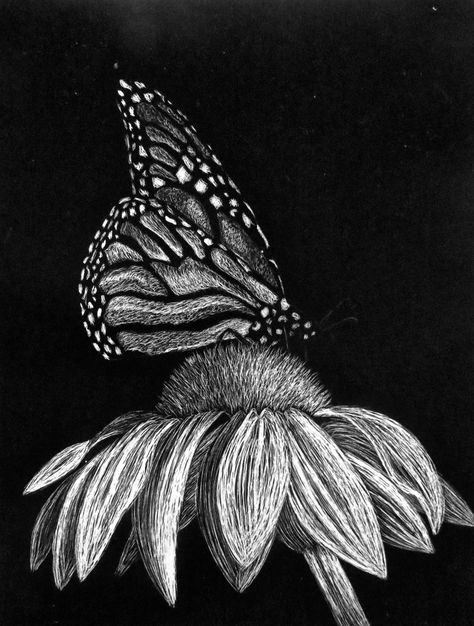 Butterfly Scratchboard által juevans Scratchboard Art Ideas, Scratch Art Ideas Easy, Scratchboard Drawings, Black Canvas Art, Scratchboard Art, Black Paper Drawing, Black And White Art Drawing, Scratch Art, White Drawing