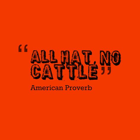 "All hat, no cattle." Quotes About Pretending, Infinity Quotes, Gaming Quotes, American Proverbs, 15th Quotes, Proverbs Quotes, Chic Gowns, Travel Pics, Totally Me