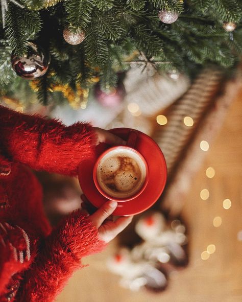 #christmas coffee Christmas Shoot, Christmas Family Photos, Christmas Inspo, Christmas Photography, Christmas Photoshoot, Christmas Makes, Noel Christmas, A Cup Of Coffee, Christmas Mood