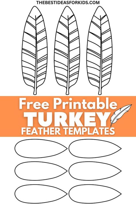 Free Printable Turkey Feather Template Turkey Feathers Template, Turkey Feather Template Free Printable, Feathers Template, Turkey Crafts Preschool, Feather Printable, Feather Outline, Turkey Template, Feather Template, Turkey Coloring Pages