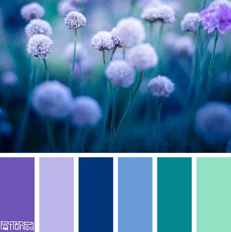 Rose Sessel | http://brabbu.com/category/upholstery Purple Color Palettes, Deco Rose, Color Schemes Colour Palettes, Design Seeds, Color Palette Design, Color Balance, Colour Schemes, Color Pallets, Color Swatches