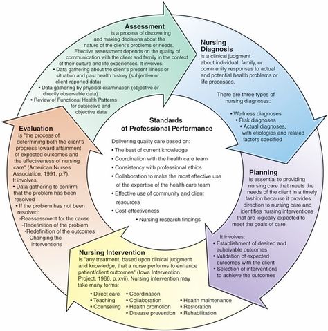 https://evolve.elsevier.com/objects/apply/RN/ManagementofaMedicalUnit/RN_51-1.html The Nursing Process, Adpie Nursing, Hesi Exam, Nursing Fundamentals, The Urinary System, Nurse Notes, Nurse Educator, Nursing Board, Nursing Assessment