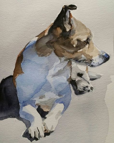 #watercolours #jackrussellterrier #terriers #terrier #terriersofinstagram #dogsofinstagram #dogportrait #portraits #dogart