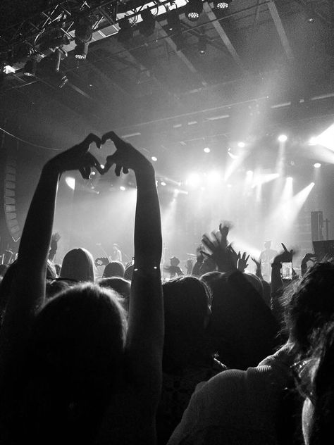 Louis Tomlinson One Direction, Concert Crowd, One Direction Music, Hand Heart, Street Punk, Concert Stage, Heart Hands, Cover Image, Horror Comics