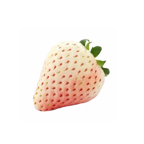 Pink Strawberry Png, Computer Customization, Server Design, Collage Flowers, Strawberry Drawing, Strawberry Png, Y2k Stickers, Pig Png, White Strawberry