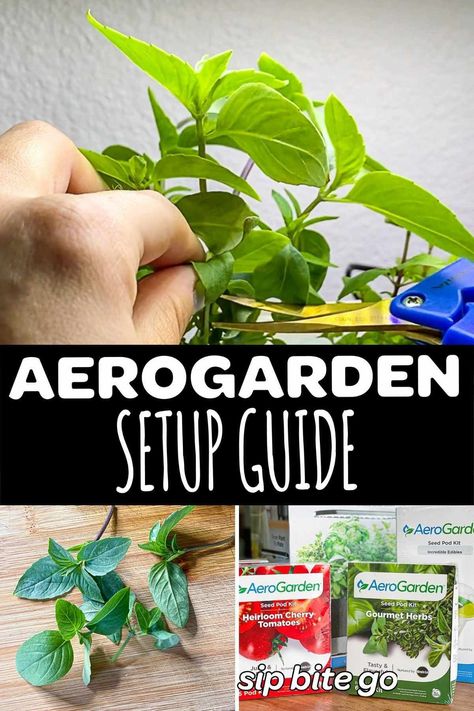 Aerogarden Diy, Aero Garden, Setup Accessories, Cooking With Herbs, Accessories Guide, Cooking With Fresh Herbs, Basil Seeds, Seed Kit, Incredible Edibles