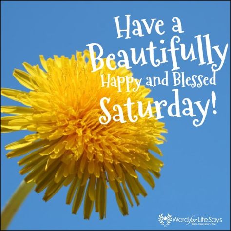 Happy Saturday Quotes, Happy Saturday Images, Saturday Greetings, Saturday Images, Inspirational Good Morning Messages, Saturday Quotes, Good Morning Saturday, Good Saturday, Happy Weekend Quotes