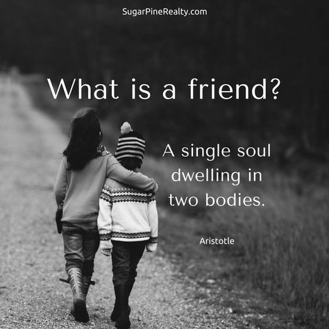 One Soul Two Bodies, Friendship Proverbs, Inspirational Quotes About Friendship, Bear Quote, A True Friend, German Quotes, Falling In Love Quotes, Best Friendship Quotes, Love Anniversary Quotes