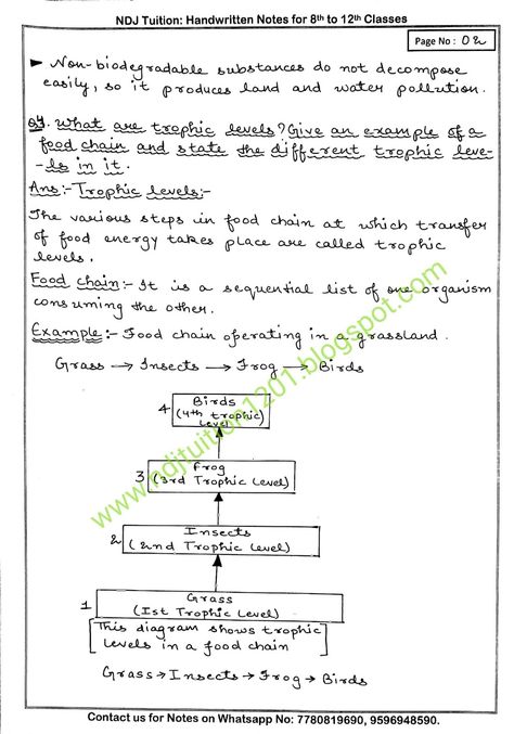 Our Environment Handwritten Notes for Class 10th Class 10 Science Notes Biology Our Environment, Our Environment Class 10 Notes, Class 10 Science Notes Biology, Science Notes Biology, Class 10 Science Notes, Class 10 Notes, Biology Class 12, Notes Biology, Muscular System Anatomy