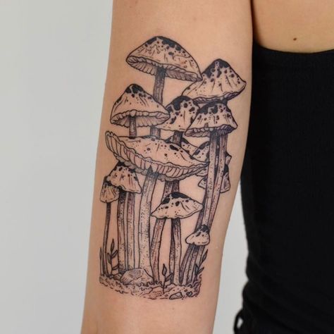 Tenderfoot Studio on Instagram: “Loving this mushroom forest by @fortytwojudges - Books open for Fall!” Mushroom Lady, Mushroom Tattoo, Tattoo Placements, Mushroom Tattoos, Geniale Tattoos, Dope Tattoos, Simplistic Tattoos, Tattoo Design Drawings, Design Drawings