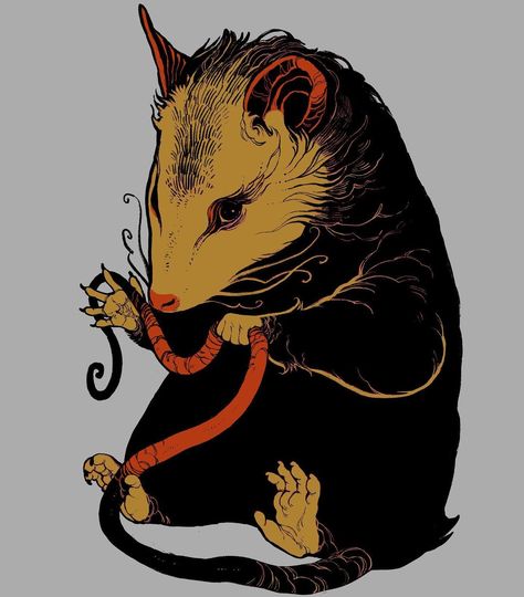 Possum Art, Wal Art, Arte Grunge, Art Drawing Sketch, Tattoo Illustration, Pics Art, Funky Art, Drawing Sketch, Horror Art