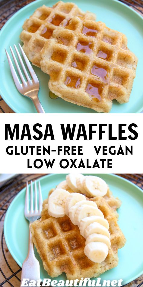 Masa Waffles cook up crispy on the outside and tender & perfect in the middle. Gluten-free, Egg-free, Vegan. Low oxalate | gluten free | vegan | masa | waffles | recipe Low Oxalate Meals, Low Oxalate Snacks, Low Oxalate Breakfast, 2024 Diet, Healthy Paleo Breakfast, Masa Recipes, Low Oxalate Recipes, Aip Meals, Low Oxalate Diet