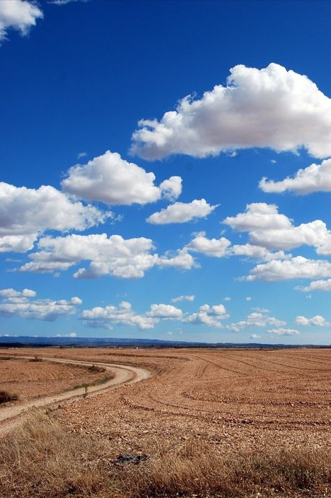 Cloud Cloudy Sky Aesthetic, Sky Scape, Land Scapes, Wallpaper Drawing, Landscape Clouds, Diwali Photos, Nature Creative, Photoshop Backgrounds Backdrops, Small Clouds