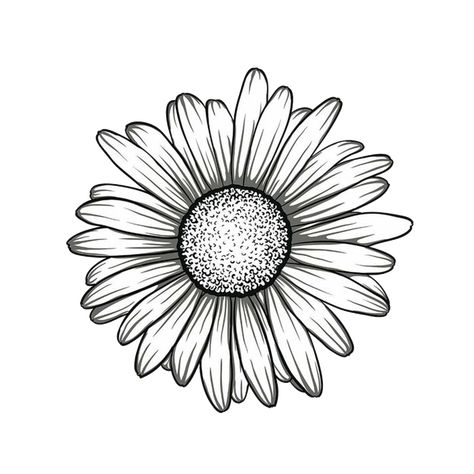 Sun Flower Tattoo Stencil, Sunflower Tattoo Design Simple, Daisy Sketch Simple, Daisy Tattoo Stencil, Flower Sketch Pencil, Flower Tattoo Drawings, Colorful Borders Design, Forarm Tattoos, Wrist Tattoos For Guys