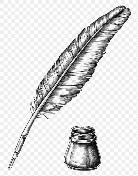 Magnifying Glass Drawing, Quill Pen Tattoo, Quill Drawing, Quill Tattoo, Feather Sketch, Pineapple Vector, Feather Quill Pen, Quill And Ink, Pen Tattoo