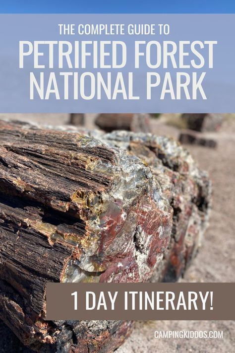 Petrified Forest National Park in 1 Day Itinerary National Park Itinerary, Arizona Camping, Petrified Forest National Park, Arizona Hiking, Best Campgrounds, Petrified Forest, National Park Vacation, Park Pictures, Hiking With Kids