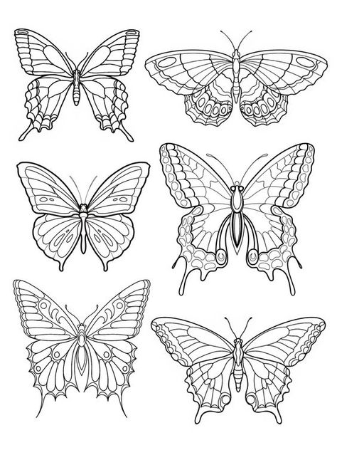 Butterfly Drawing Pattern, Half Butterfly Drawing, Line Work Butterfly, Butterfly Stencil Templates, Butterfly Drawing Sketches, Butterfly Wings Drawing, Simple Butterfly Drawing, Butterfly Drawing Outline, Butterfly Line Drawing