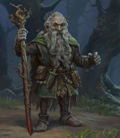 Forest Gnome Druid, Dnd Druid, Deciduous Forest, Fantasy Wizard, Heroic Fantasy, Fantasy Portraits, Leather Armor, Forest Hills, Fantasy Races