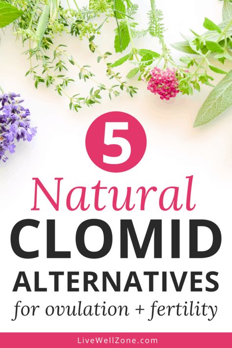 Struggling with PCOS infertility and looking for a natural alternative to clomid? This post gives you 5 natural clomid substitutes that are scientifically proven to increase ovulation and boost fertility naturally. Learn how these fertility herbs can help while trying to conceive as well as they help with irregular periods. Balancing Hormones For Fertility, Foods To Help Conceive Twins, Supplements For Conceiving, Natural Fertility Trying To Conceive, Foods To Help Conceive, Fertility Friendly Breakfast, Diet For Trying To Conceive, Natural Remedies To Increase Fertility, Boosting Fertility Trying To Conceive