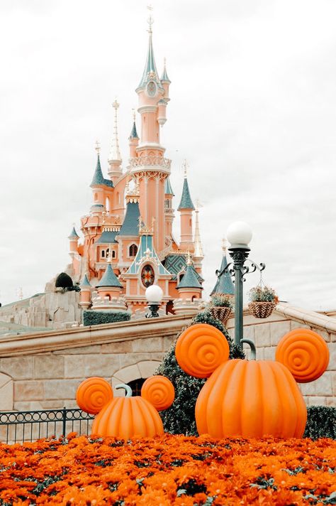 Disney World Fall Aesthetic, Disney Fall Aesthetic, Disneyland Paris Halloween, Disney October, Disneyland October, Wallpaper Navidad, Disney Autumn, Spooky Disney, Fall Disney