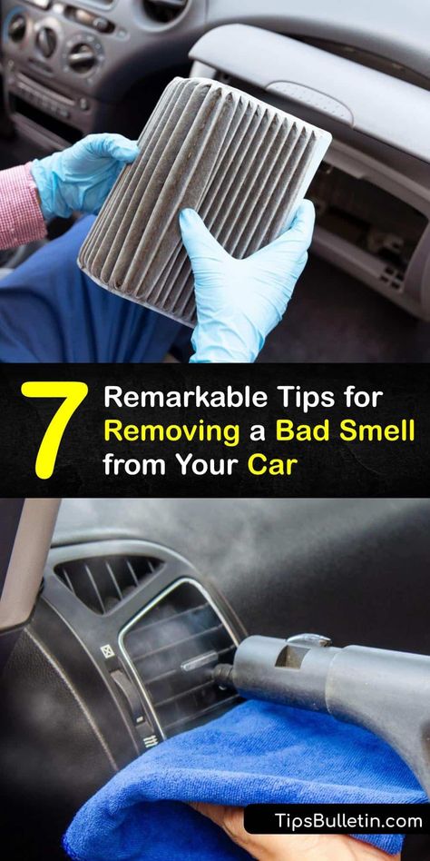 Whether it’s cigarette smoke or dog odor, a car smell is unpleasant. Remove a bad smell from your car cabin and upholstery using simple products like baking soda and white vinegar, and clean your cabin air filter to keep the air fresh. #remove #bad #smell #inside #car Car Odor Eliminator Diy, Car Smell Hacks, Cleaning Purses, Car Basics, Odor Eliminator Diy, Clean Car Interior, Car Odor Eliminator, Diy Car Cleaning, Cleaning Car Upholstery