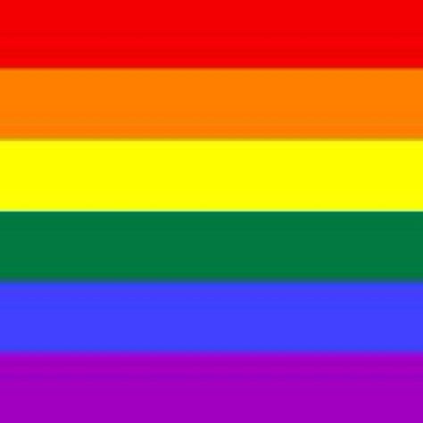 Queer Pride Flag, Rainbow Flag Lgbt, Gay Pride Parade, Gender Flags, Gay Flag, Rainbow Flag Pride, Lgbtq Flags, Lgbt Flag, Judy Garland