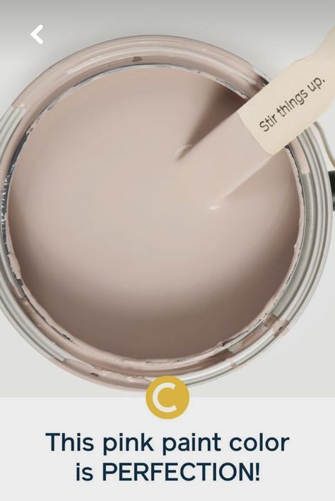 Paint color “ Meet Cute” by Clare paint Blush Pink Paint, Meet Cute, Pink Paint Colors, Cute Blush, Decoration Furniture, Pink Paint, Interior Paint Colors, Architecture Interiors, Big Girl Rooms