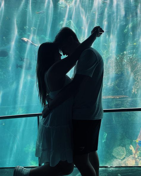 Aquarium Photoshoot Couple, Aquarium Aesthetic Couple, Aquarium Photos, Great Date Ideas, Aquarium Pictures, Dream Dates, Romantic Date Night Ideas, Cute Date Ideas, Dream Date