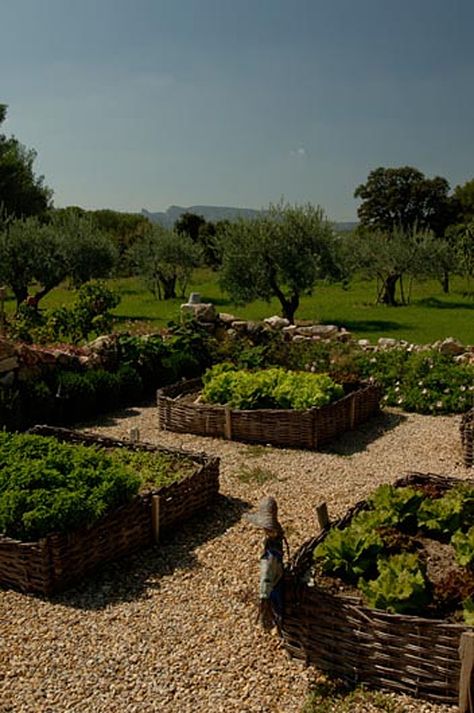 Enchanting villa in the foothills of Provence Italian Vegetable Garden, Old Olive Tree, Outdoor Gate, Raised Vegetable Gardens, Exquisite Gardens, Creative Design Agency, Victorian Garden, Veg Garden, Southern France