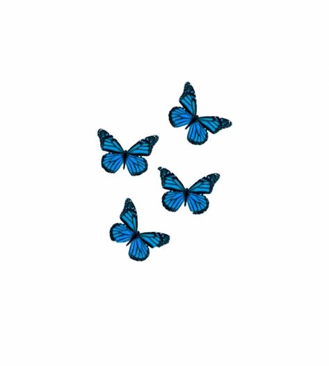 Soft Blue Aesthetic Butterfly, Cute Butterfly Pictures, Butterfly Profile Picture, Blue Butterfly Icon, Blue Colour Things, Blue Profile, Bff Wallpaper, Pro Pic, Message Wallpaper