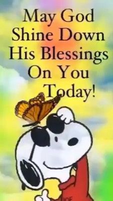 May God shine down his blessings on you today [Video] | Good morning sweetheart quotes, Morning quotes funny, Good morning video songs Christian Good Morning Quotes, Peanuts Quotes, Charlie Brown Quotes, Good Morning Snoopy, Sweetheart Quotes, Brown Quotes, Hug Quotes, Peanut Gang, Good Morning Sweetheart Quotes