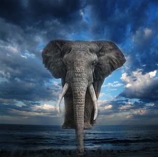 Elephant Walking, Walking On Water, Elephant Walk, Water Photo, Walk On Water, 3d Icons, Baby Elephant, In Water, Walk On