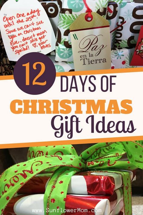 12 days of Christmas gifts ideas for family, friends, and teachers. Giving the 12 days of Christmas gifts with your kids can be the highlight of your holiday! Here are some fabulous ideas! #Christmas #ChristmasGifts #HolidayGifts #GiftGuide #HolidayGiftGuide #GiftIdeas 12 Days Of Christmas Gifts, 10 Days Of Christmas, 12 Days Of Xmas, Christmas Gifts Ideas, The 12 Days Of Christmas, Single Parents, Cheap Christmas Gifts, Christmas Gifts For Coworkers, Diy Gifts For Friends