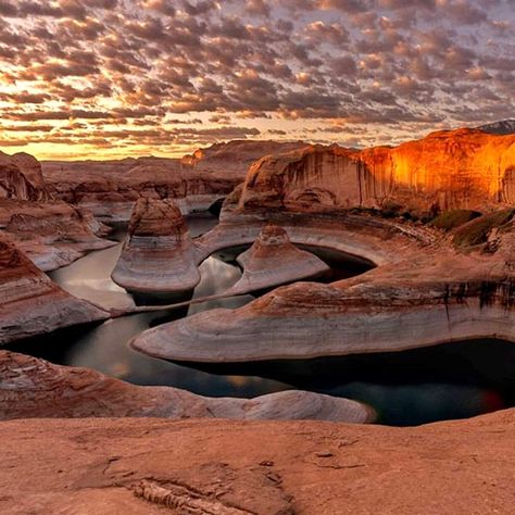 Glenn Canyon near Page Salt City, Glen Canyon, Utah Photography, Arizona Travel, Tag Your Friends, In The Desert, The Desert, Worth It, Animal Photography