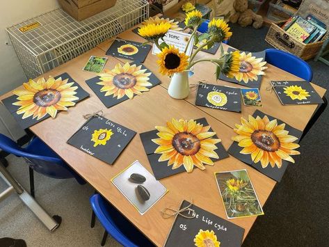 Mrs W on Instagram: "🌻 Open Evening 🌻 In preparation for transition day tomorrow the children could come into school this evening to show their parents their new classroom. We set out some examples of learning so the children can see what sorts of things we do in our class. I themed my tables around our current unit about plants and garden! #ks1teacher #transitionday #teachersofinstagram #teachersfollowteachers #continuousprovision #year1teacher #year2teacher #year1continuousprovision" Transition To Year 1 Activities, Eyfs Provision, Continuous Provision, Maker Space, About Plants, New Classroom, Year 3, Classroom Setting, Garden Theme