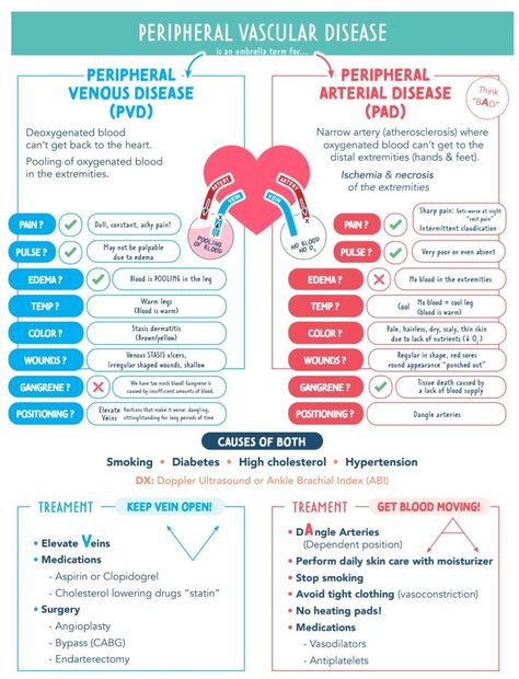 Nursing Instructor, Nursing Cheat Sheet, Paramedic School, Physical Therapy Student, Nursing Cheat, Nursing School Essential, Basic Anatomy And Physiology, Nurse Study Notes, Nursing Mnemonics