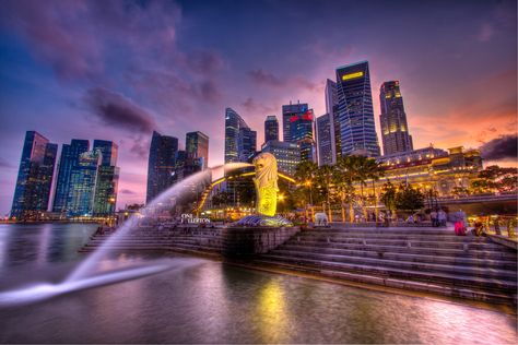 The Merlion of Singapore | In early January Adriana and I to… | Flickr Singapore Landscape, Merlion Singapore, Gardens By The Bay Singapore, Sargasso Sea, Marc Quinn, Photography Board, Purple Tones, Singapore Travel, Gardens By The Bay