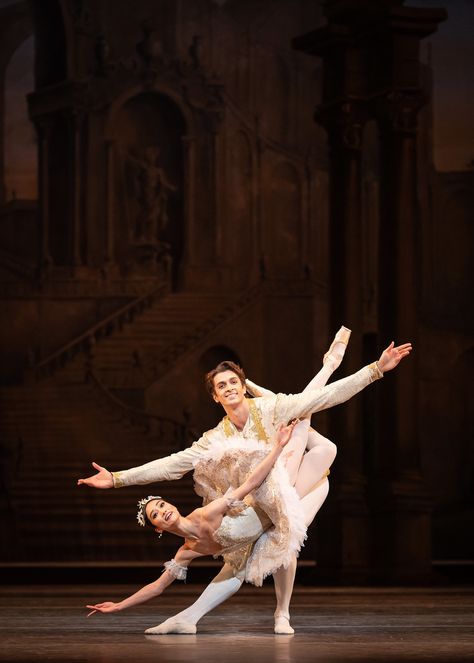 Steven Mcrae, Aurora Rising, Sarah Lamb, Sleeping Beauty Ballet, Art Ballet, Ballet Pictures, The Sleeping Beauty, Ballet Beauty, Prima Ballerina