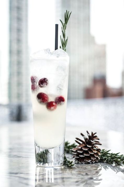 Seasonal Martinis, Best Christmas Cocktails, Festive Cocktail Recipes, Christmas Martini, Ornaments Ideas, Christmas Cocktail, Festive Cocktails, Winter Cocktails, Festive Drinks