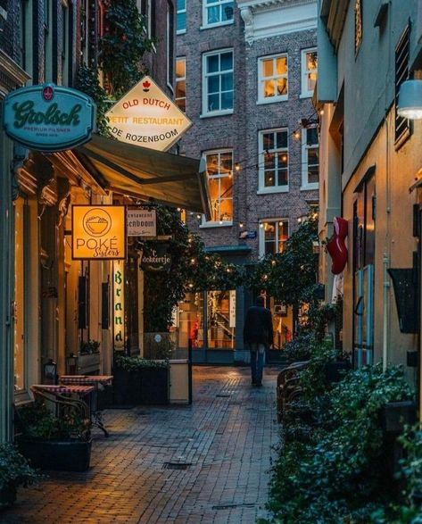 Walkable City, Visit Amsterdam, I Amsterdam, Living In Europe, Amsterdam Travel, Amsterdam City, Amsterdam Netherlands, City Aesthetic, The Netherlands