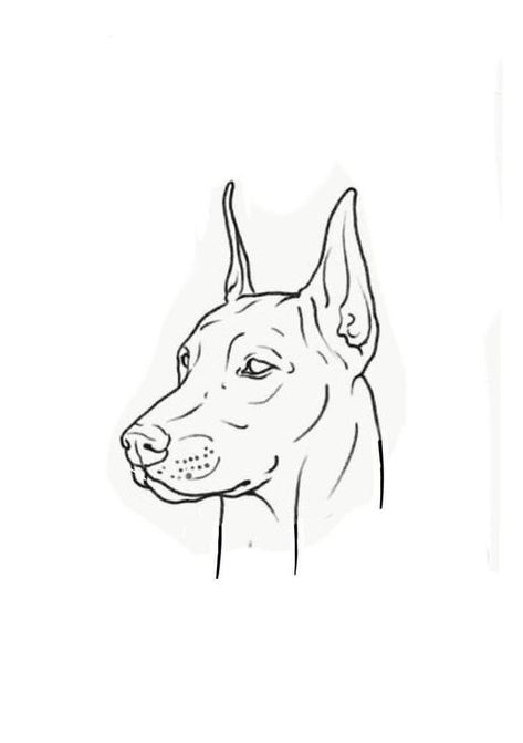 Doberman Tattoo Design Line, Doberman Line Tattoo, Doberman Outline Tattoo, Doberman Tattoo Design, Doberman Sketch, Drawing Doberman, Doberman Drawing, Mini Doberman, Doberman Tattoo