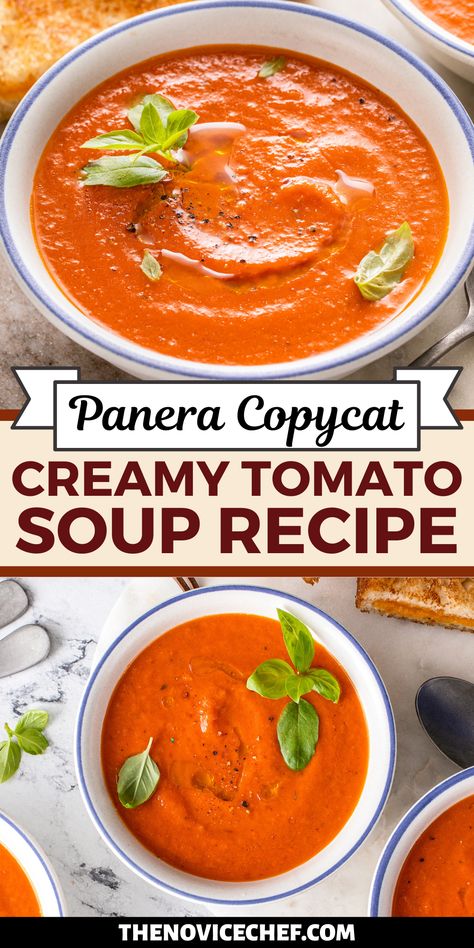 Panera Tomato Soup, Panera Tomato Soup Recipe, Blender Soups, Creamy Tomato Soup Recipe, Easy Tomato Soup Recipe, Tomato Bisque Soup, Easy Homemade Soups, Homemade Tomato Soup Recipe, Tomato Basil Soup Recipe