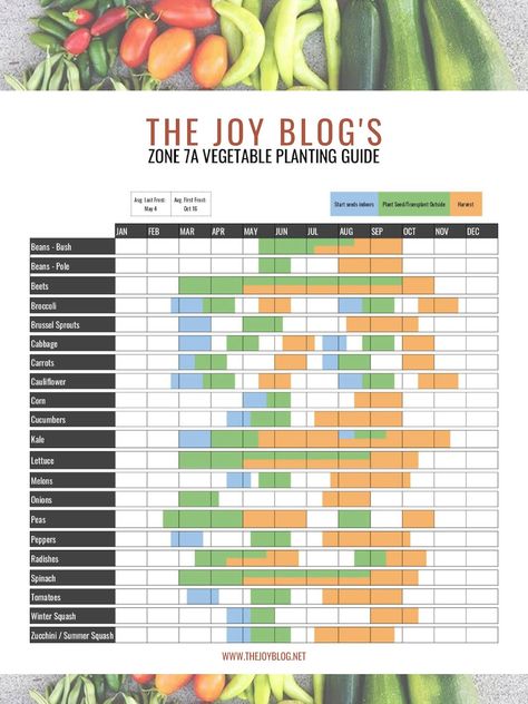 Gardening Zone 7A Planting Calendar // posted on THE JOY BLOG // Click to see full post // Growing Guides Vegetable Planting Guide, Planting Calendar, Zone 7, Plant Zones, Gardening Zones, Bush Beans, Garden Calendar, Veg Garden, Yard Work