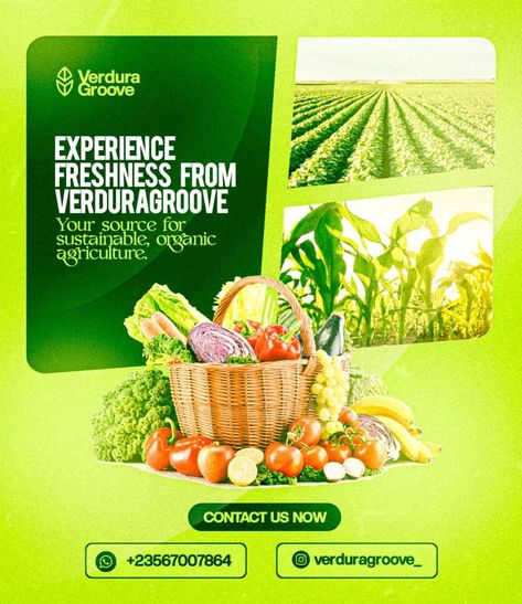 DM for your Design Fruit Flyer Design, Green Flyer Design, Magazine Advertising Design, Agriculture Flyer, Agriculture Ads, Agriculture Poster, Product Flyer Design, Simple Flyer Design, Food Flyer Design