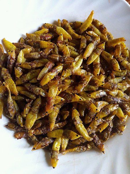 Ugandan grasshopper dish Uganda Food, Ugandan Culture, Ugandan Food, Eid 2024, Food Organization, Kenyan Food, Food Park, Chapati, Recipe Organization