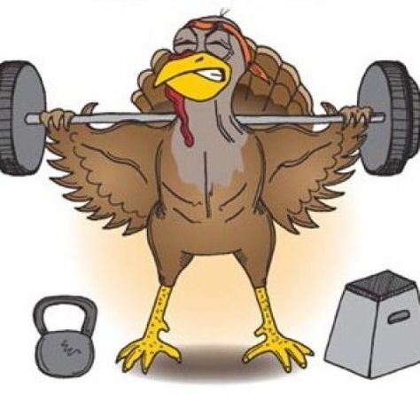 turkey-weightlifting Happy Thanksgiving Memes, Thanksgiving Workout, Thanksgiving Fitness, Gym Jokes, Thanksgiving Jokes, Thanksgiving Prep, Happy Turkey Day, Thanksgiving Day Parade, Body Pump